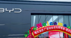 谁不怕比亚迪掀起的价格战？