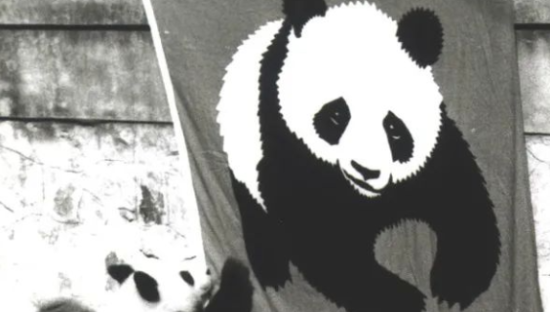 WWF弃用熊猫LOGO？