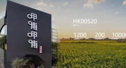 贺光启也救不了呷哺呷哺？