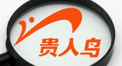 贵人鸟，真的飞走了