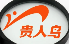 贵人鸟，真的飞走了