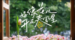 神州租车春日短片：好像花儿开在春风里