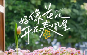 神州租车春日短片：好像花儿开在春风里