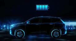 国产新能源车进入惨烈“淘汰赛”