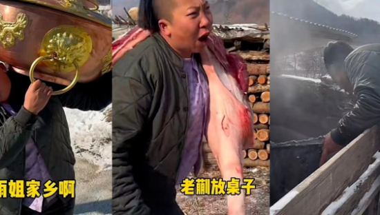 东北雨姐，李子柒的“另一面”