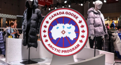 加拿大鹅神话，加速失灵