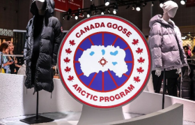 加拿大鹅神话，加速失灵