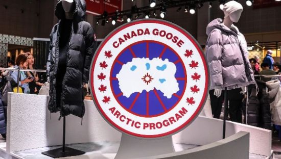 加拿大鹅神话，加速失灵