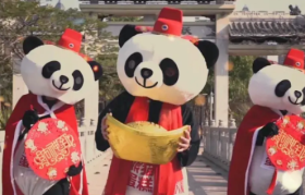 烧光2亿后老板失联？又一网红品牌倒闭了