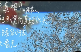 在街头写诗的青年“隔花人”，文案太治愈！