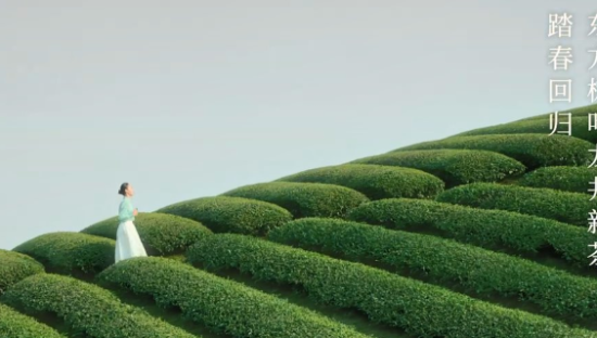 东方树叶春季限定：春光里，喝新茶