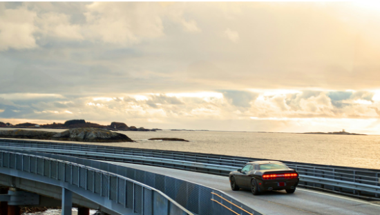 中国车出海“四小龙”，战队成形！