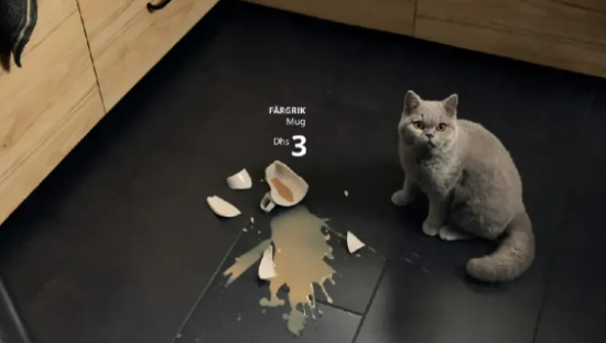 宜家找小猫小狗打广告，铲屎官们秒懂啊！