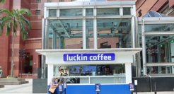 生椰拿铁，在新加坡“塌房”了