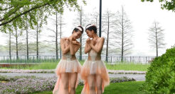 上海迪士尼×舞剧《朱鹮》梦幻联动！舞蹈太惊艳了！