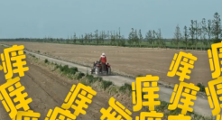 美团的“神经”广告，莫名其妙笑了一下！