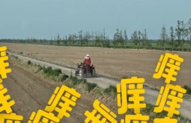 美团的“神经”广告，莫名其妙笑了一下！