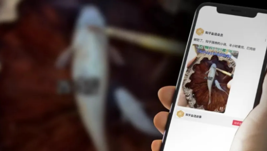 效仿短剧，知乎短文“土味”出圈