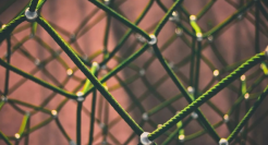 阿里字节再打通，如何理解？