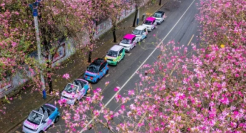 神车五菱，困守新能源之城