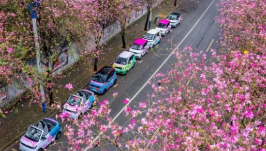 神车五菱，困守新能源之城