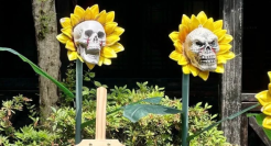 谢谢88VIP，让我能多见两个鬼