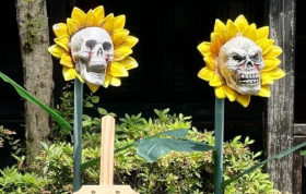 谢谢88VIP，让我能多见两个鬼