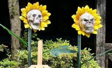 谢谢88VIP，让我能多见两个鬼