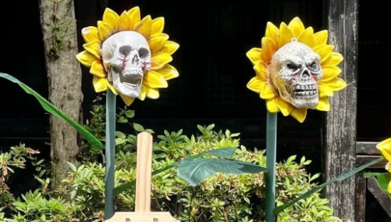 谢谢88VIP，让我能多见两个鬼