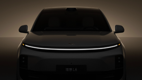 MEGA背不动理想大裁员的锅