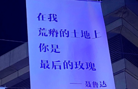 520高级感文案，句句都是爱