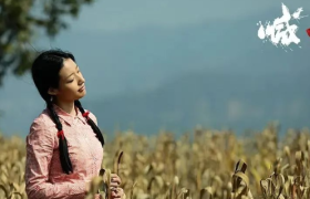 小红书“非法送养”，一个国民级APP的罪恶