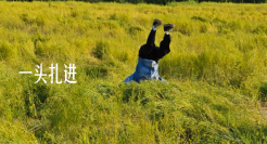 小米喊你《去附近》，一起出门溜达