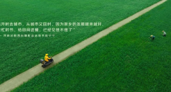 美团的海报设计越来越棒了！