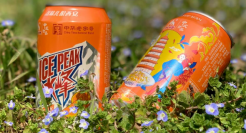 大窑、百事“挥师入陕”，冰峰快醒醒吧？