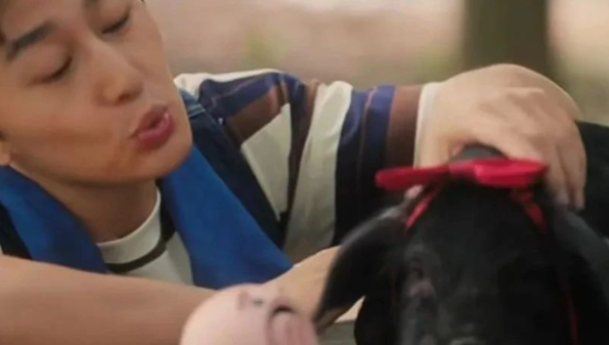 抖音的“金猪”，带不飞短剧