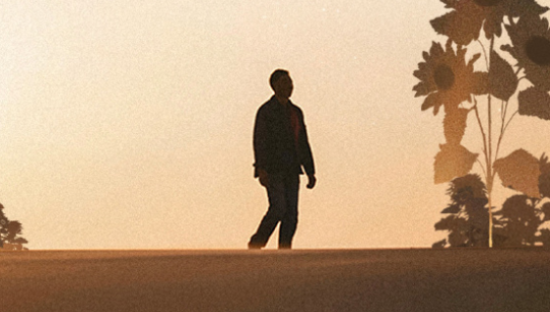 洽洽在沙漠种花，创造奇迹花海