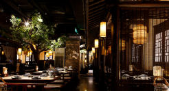 绿茶餐厅，“美食荒漠”中的网红餐厅