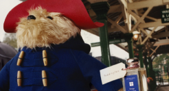 祖玛珑x帕丁顿熊，治愈系橘子果酱