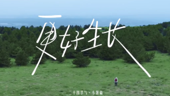 特仑苏小暑已至，一起放飞想象力