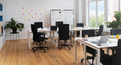 失意理想人，重返大厂