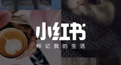 “裁员广进”背后，小红书也扛不住了？？？？？