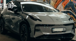 中亚新能源“倒爷”，盆满钵满