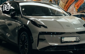 中亚新能源“倒爷”，盆满钵满