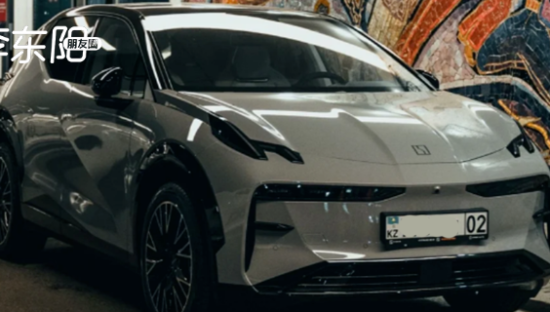 中亚新能源“倒爷”，盆满钵满