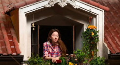 刘亦菲带飞暑期档，爱优腾谁赢了？