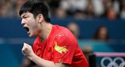 樊振东夺金，安踏赢麻了？