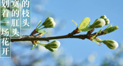 肛泰“不正经”痔疮文案，看懂的都哭了......