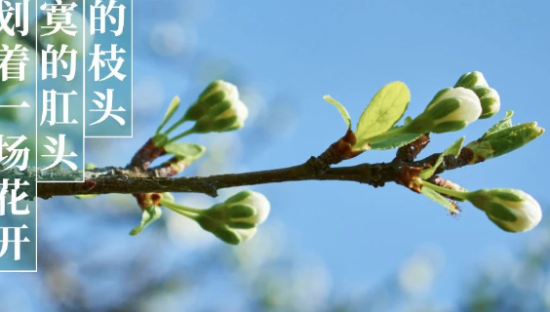 肛泰“不正经”痔疮文案，看懂的都哭了......