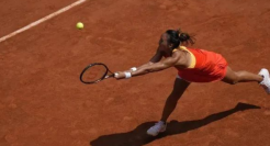 郑钦文夺冠，霸王茶姬笑了，伊利栽了！